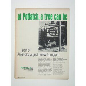 Vintage Potlatch Forests Inc Western Pine Tree Farm System Print Ad Deer Doe